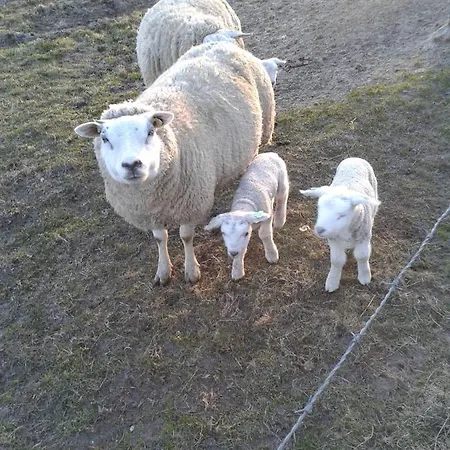 Vinkie Holiday home *