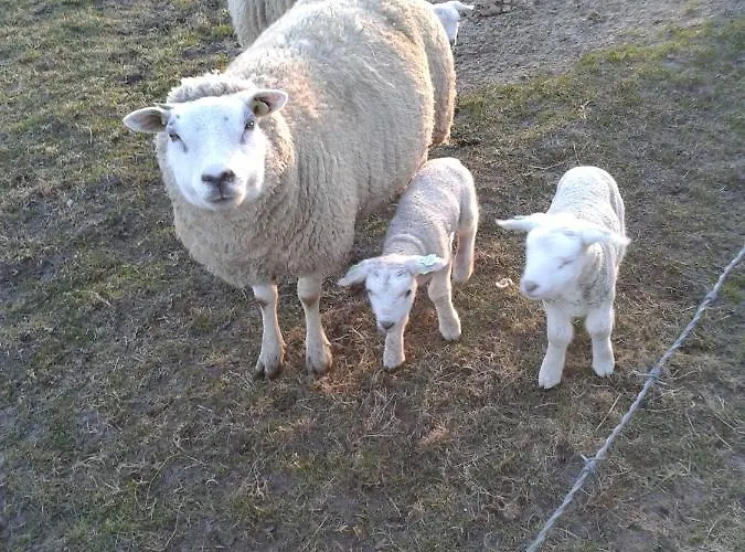 Vinkie Hébergement de vacances *
